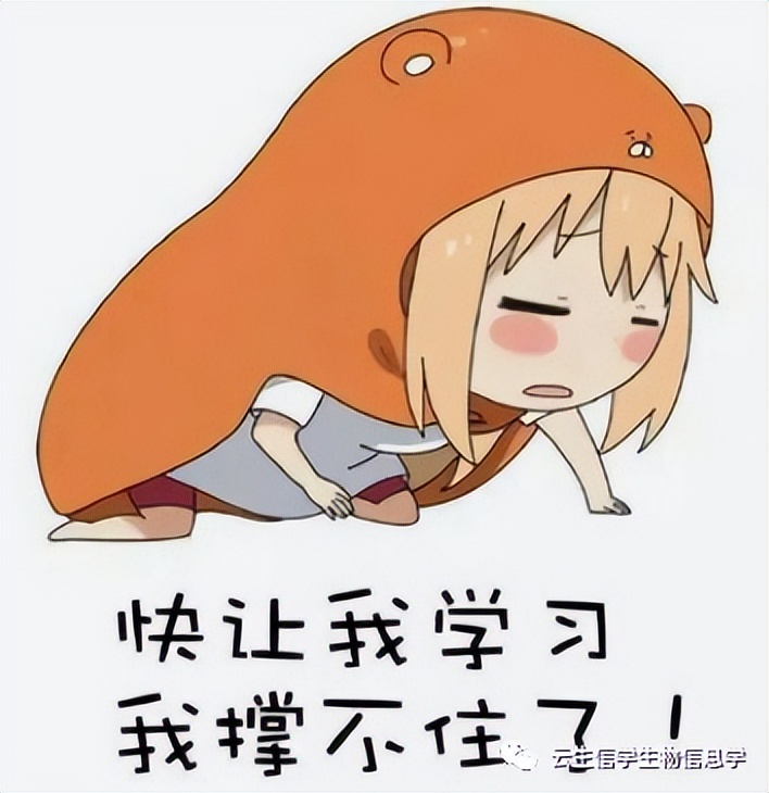 只做预后和富集分析就能发6分+？且看双基因如何一举拿到接收函