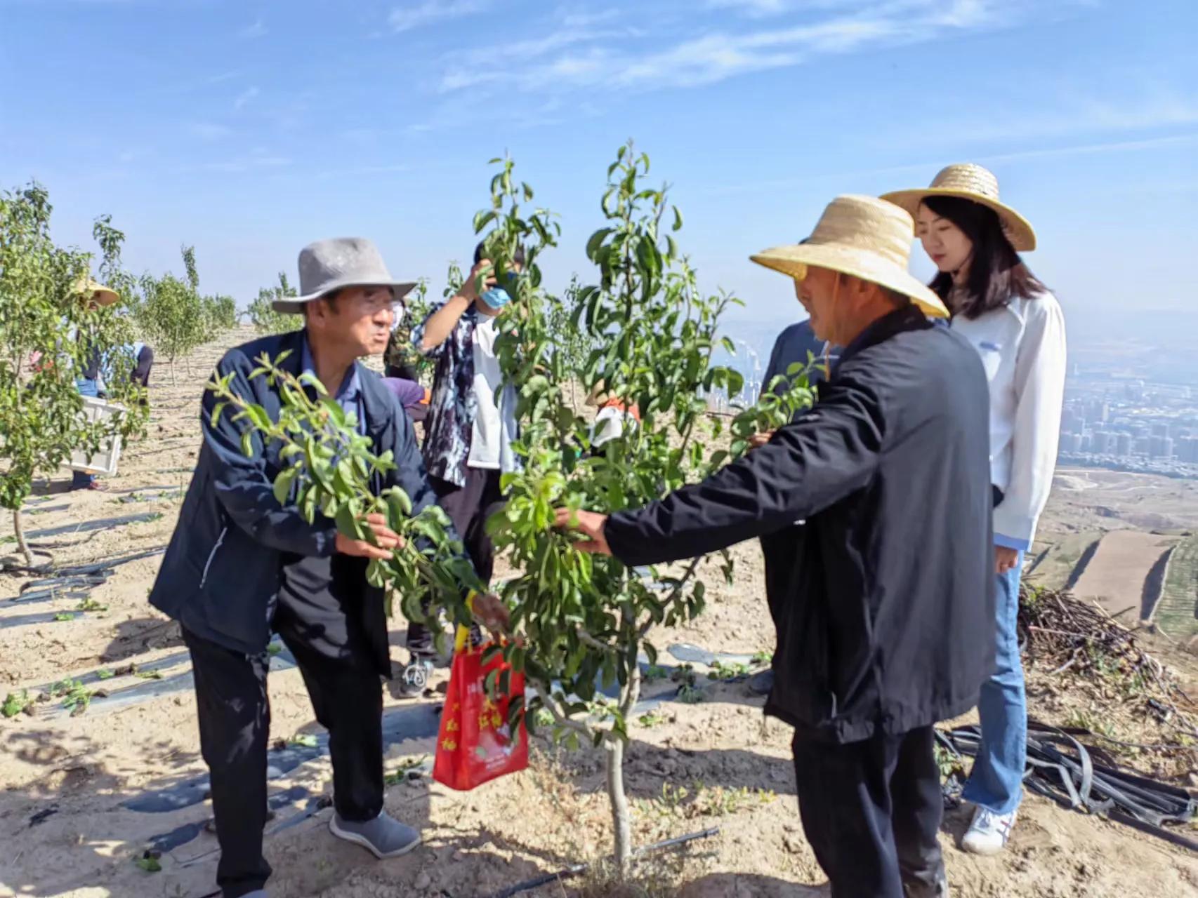 红色领航 助推乡村振兴