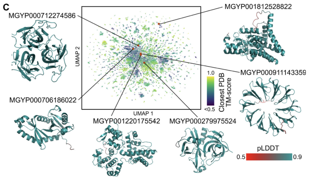 快了一个0！Meta祭出150亿参数蛋白质大模型，碾压AlphaFold2