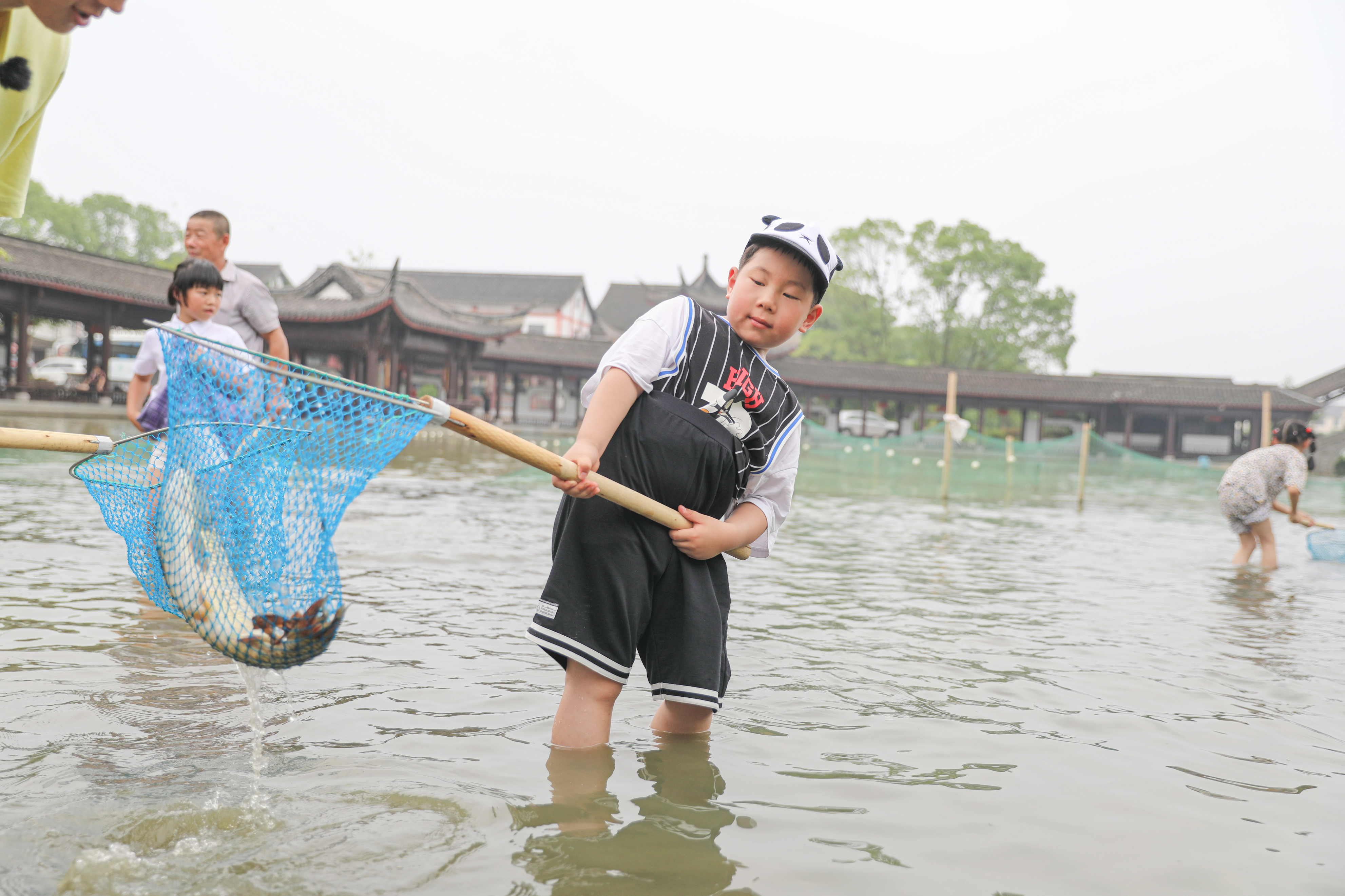 抓鱼享清凉 传承鱼桑文化