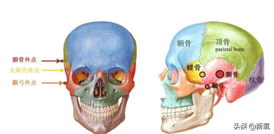 光靠颜值就在国内出圈的日系美少女