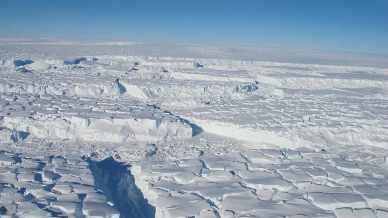 南极“黑金”：30万颗陨石的“冰原金矿”，中国是后起“黑马”？