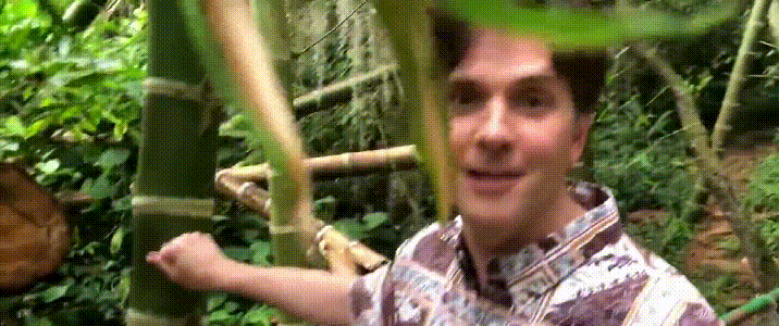 迪士尼动画工作室官方梳理保姆级动画电影制作详细攻略