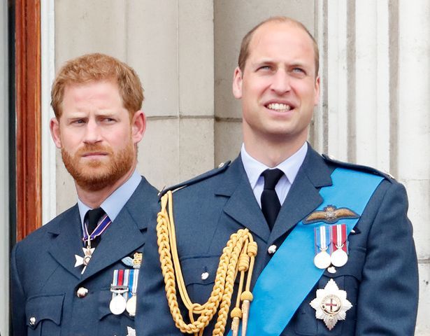 威廉王子和哈里王子,威廉王子和哈里王子现状?