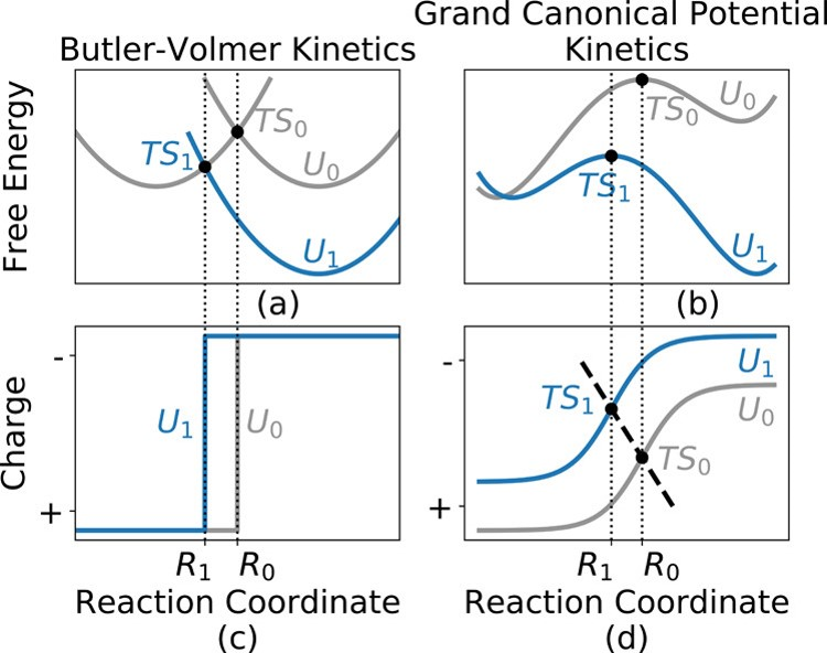 唐青/江德恩｜HER理论研究进展及其在活性位点识别中的应用
