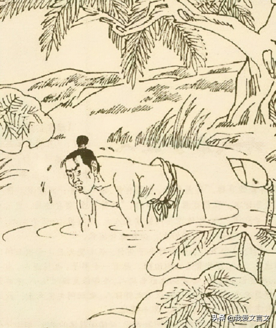 经典文言文赏析 | 水底金影