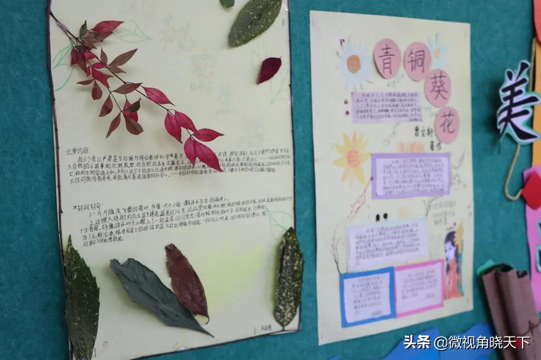 信阳市羊山外国语小学东校区：我们的教室(图35)