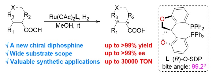 南方科技大学张绪穆教授近年来工作概览