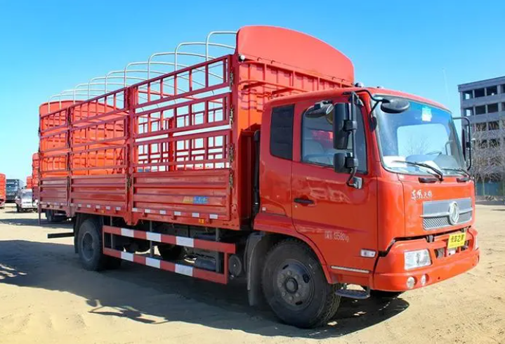 藍牌新規(guī)執(zhí)行近一月，這兩種新型倉柵車你更看好哪種？