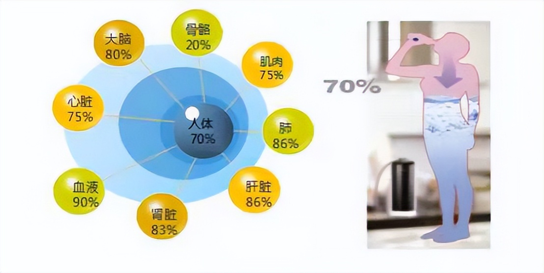 跟地球相似,我们人体的大部分也是由水组成的,水分大约占人体的70%拿