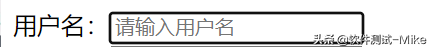 软件测试基础HTML