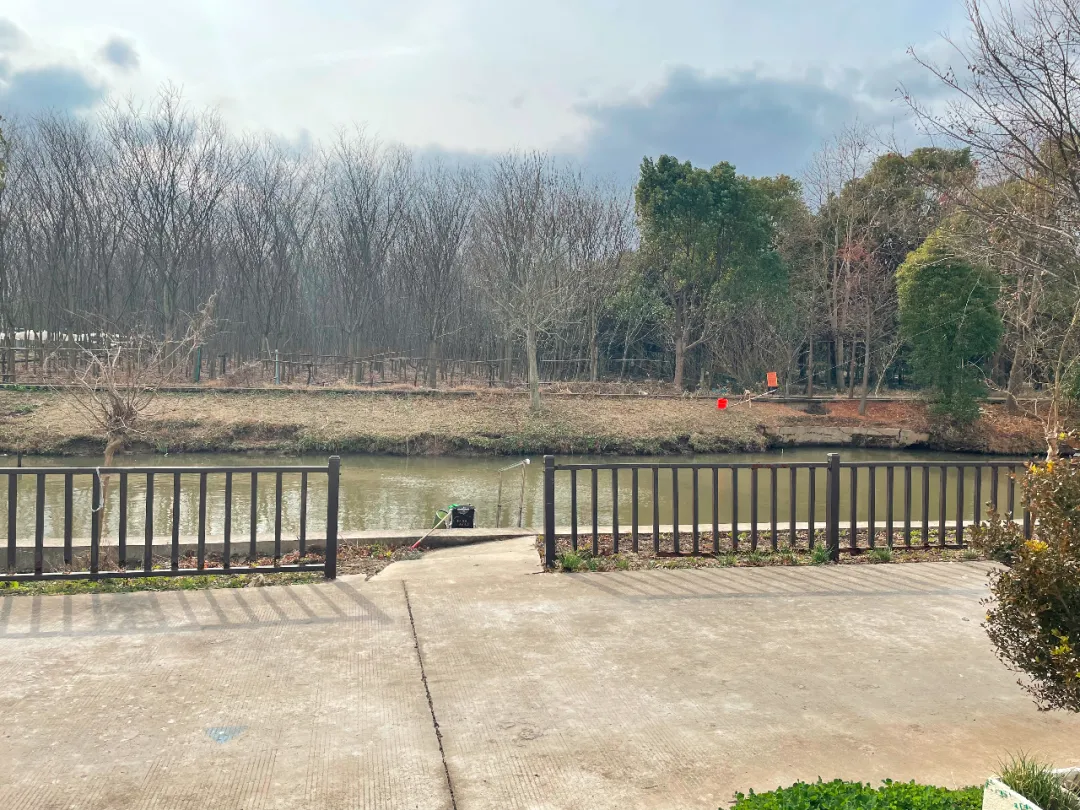 上海个人房屋出租,上海个人房屋出租需要缴纳哪些税