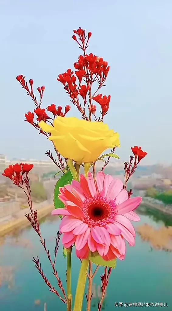 一束鲜花醉了蓝天,美了春天