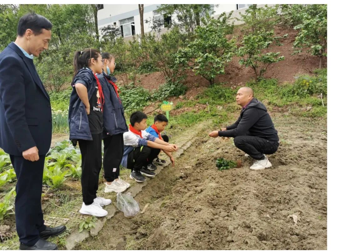 天府新区大林小学开展“春耕节”和“春意VS烟火”劳动实践活动