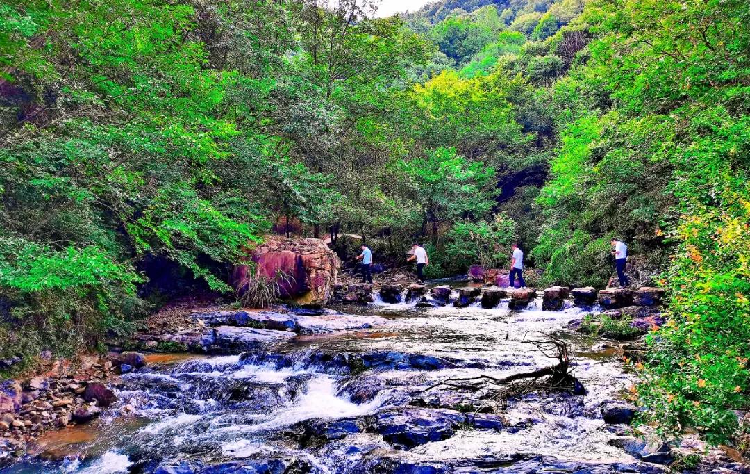 西九华山景区闭园公告