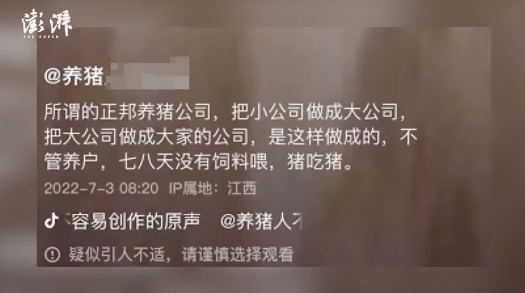 上市猪企回应“猪吃猪”惨剧