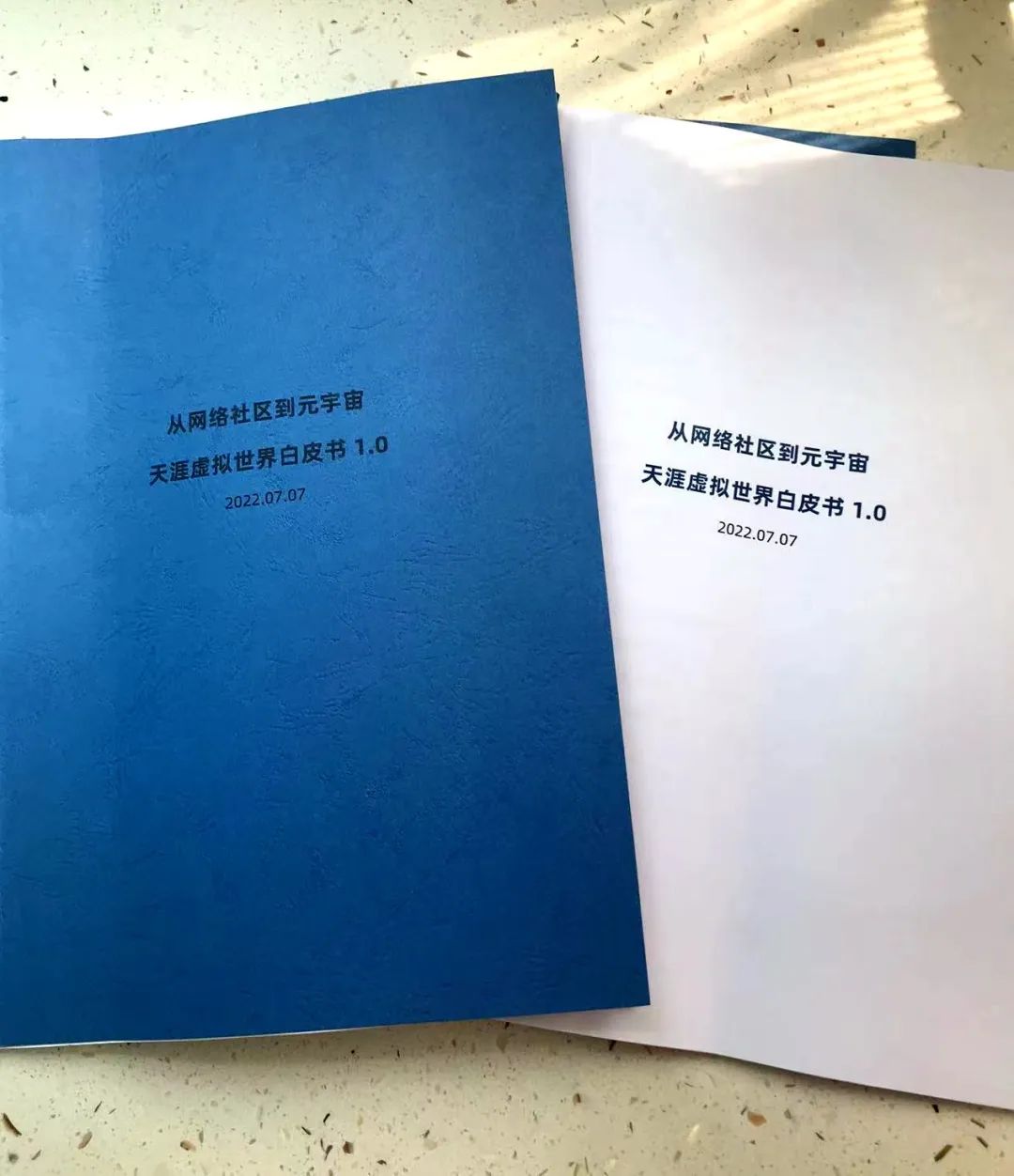 天涯社区发布《天涯虚拟世界白皮书1.0》