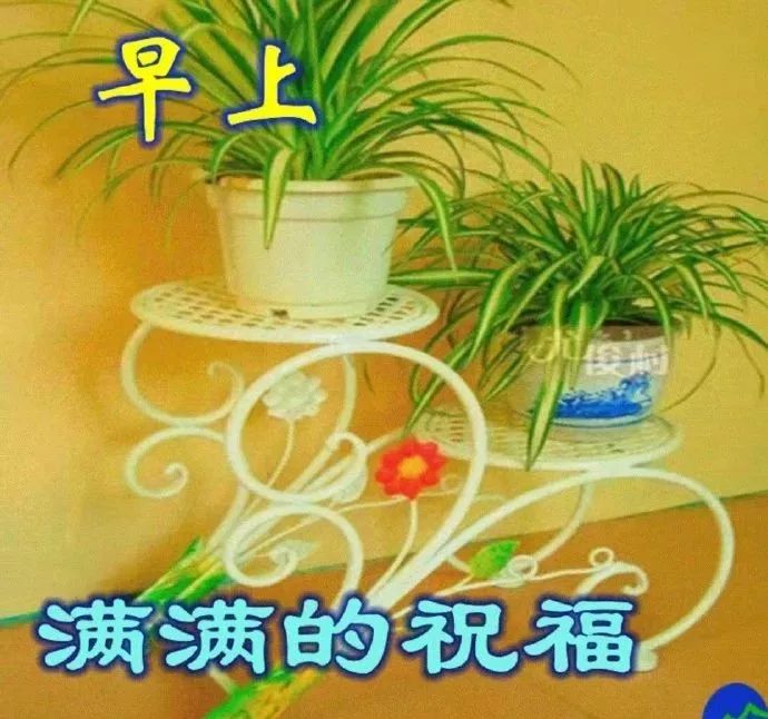 3月8日周二女人节早上好正能量简单话语 爱一个人要有节制