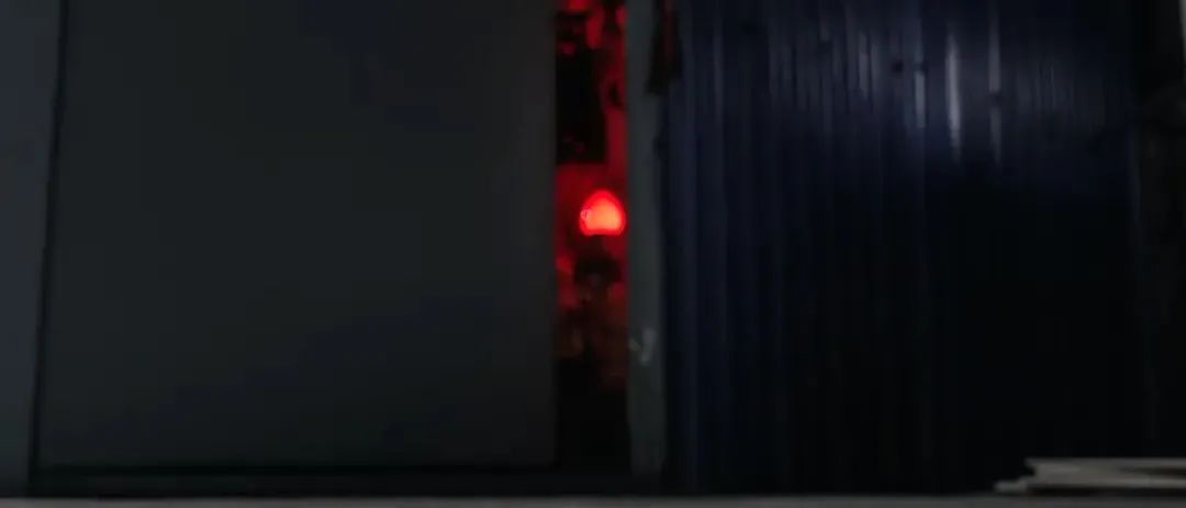 想学《寄生虫》，可惜功败垂成