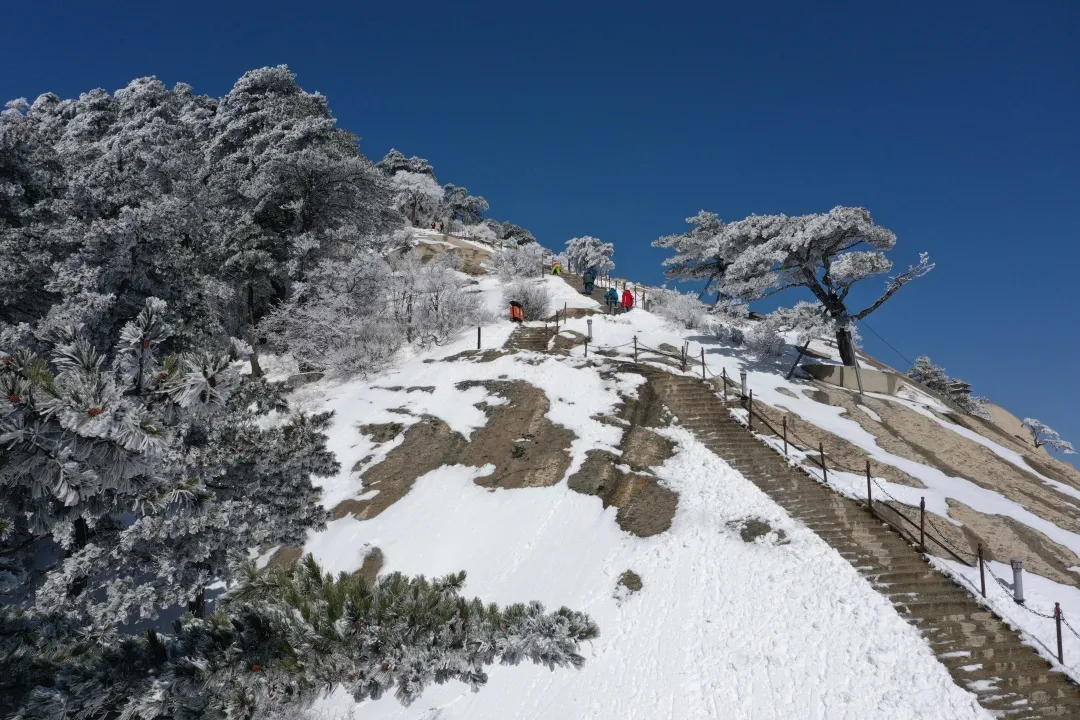 约定！待疫情散去，你我共赏华山美景~