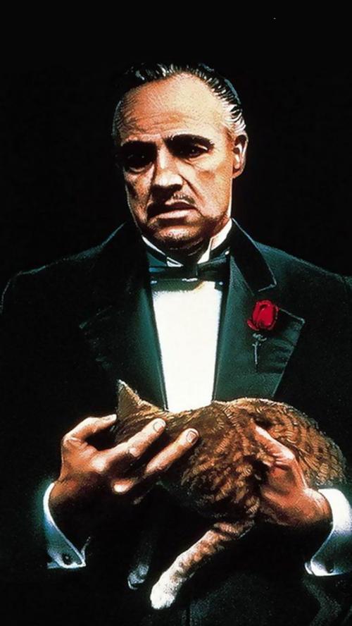 值得一看的电影《教父1》