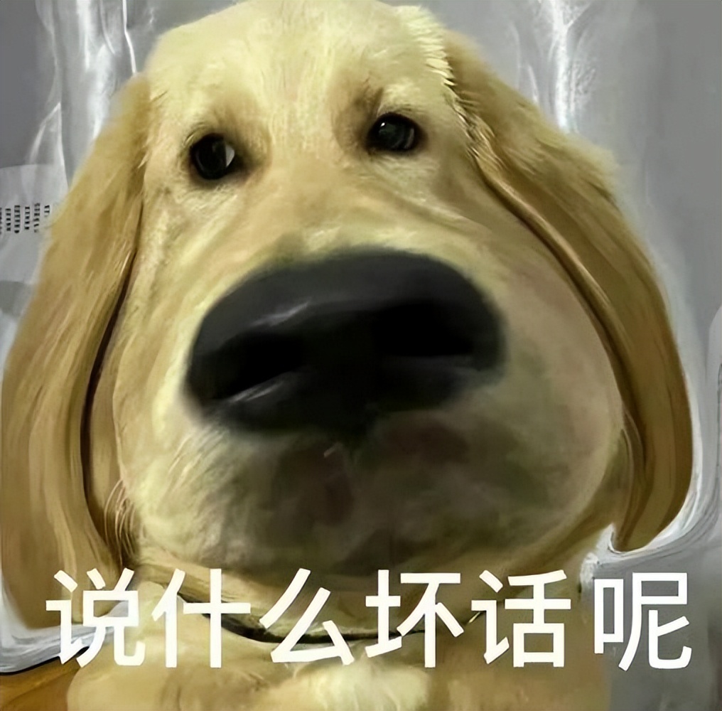 二硫碘化钾二硫碘化钾氮碘硫氢碘硫硼是什么梗