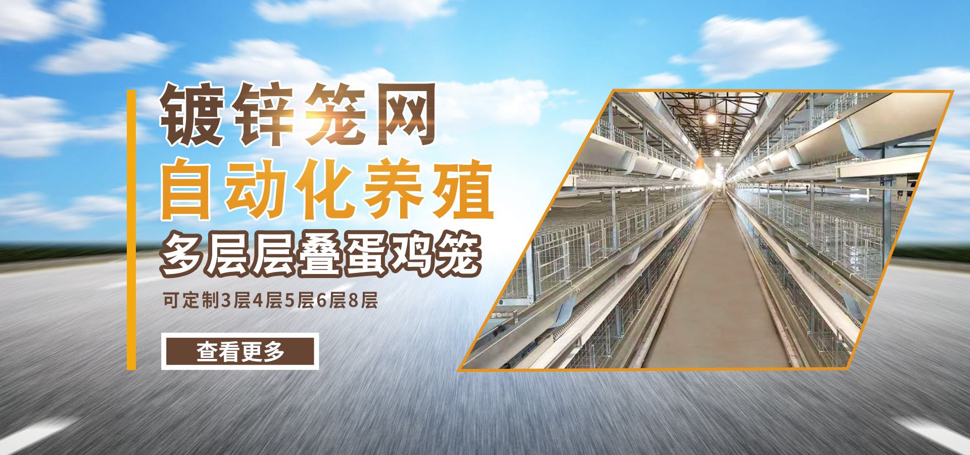 蛋鸡育雏育成期呼吸道的原因分析及防控方法！远卓农牧养殖百科
