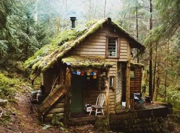 驻韩美军有多嚣张？侵犯少女后表示：她不反抗我就不会杀她