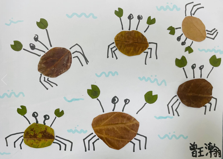 成都市双流区实验小学外国语学校开展阅读课程专题研讨教研活动