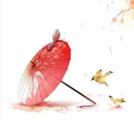 女人贤惠能干，你那懂事模样让人心动。