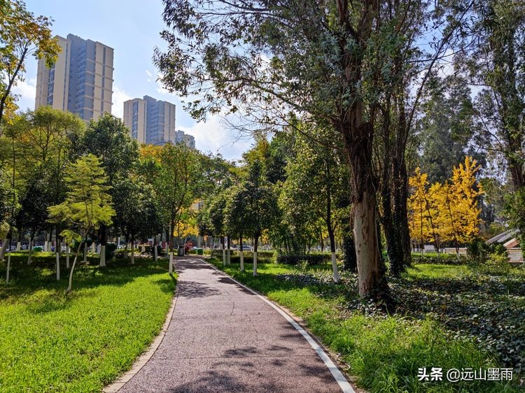 河水清澈、水草飘摇，河岸景致、色彩缤纷，初冬的昆明盘龙江，美