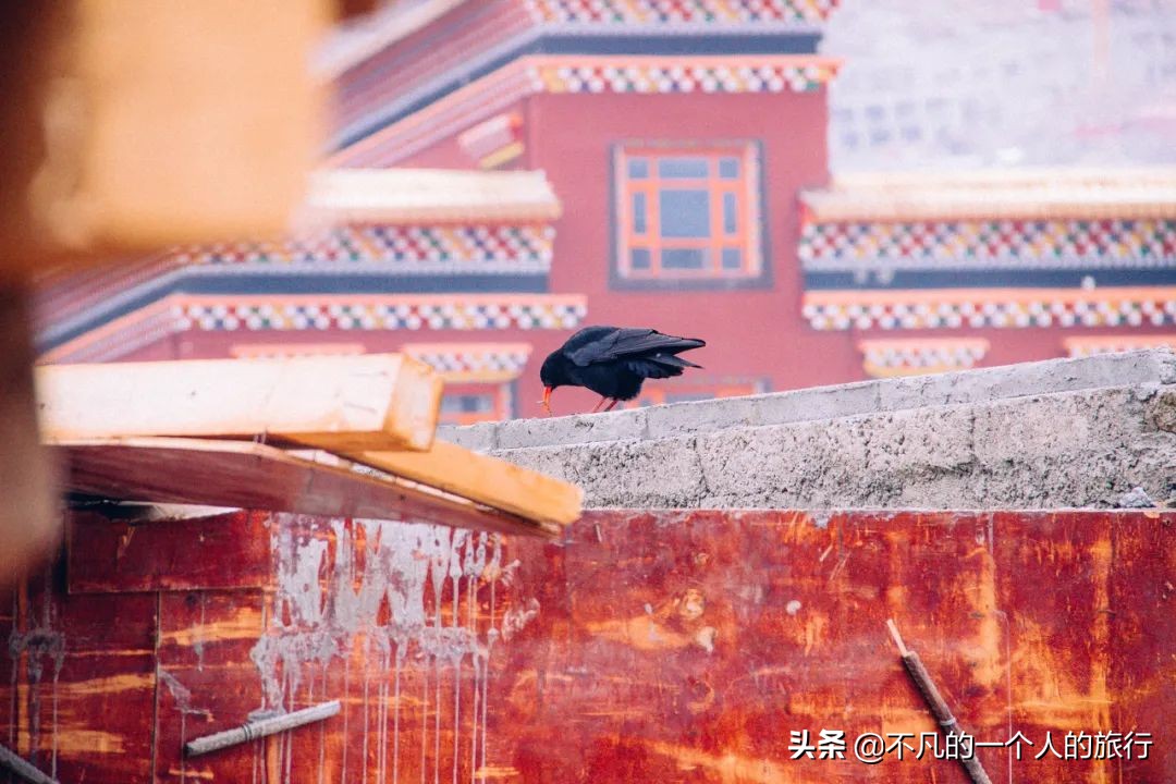 东台吉乃尔湖消失，圣象天门永久关闭？有些风景错过就是一辈子