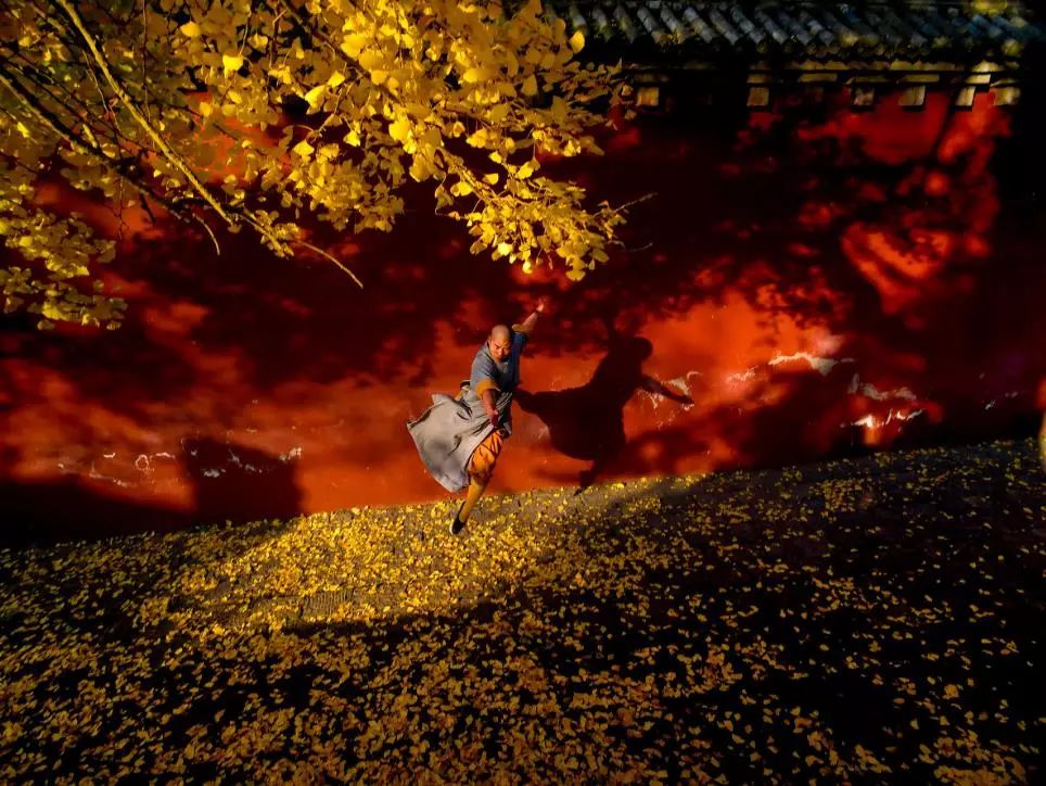 河南：一部河南史，半部华夏册，“豫”见中国的大美之地