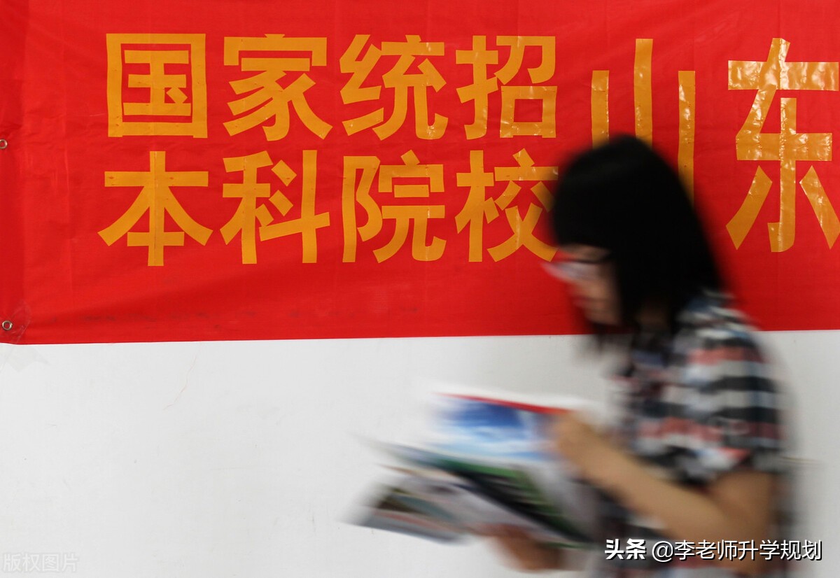 新高考志愿填报（新高考专家）