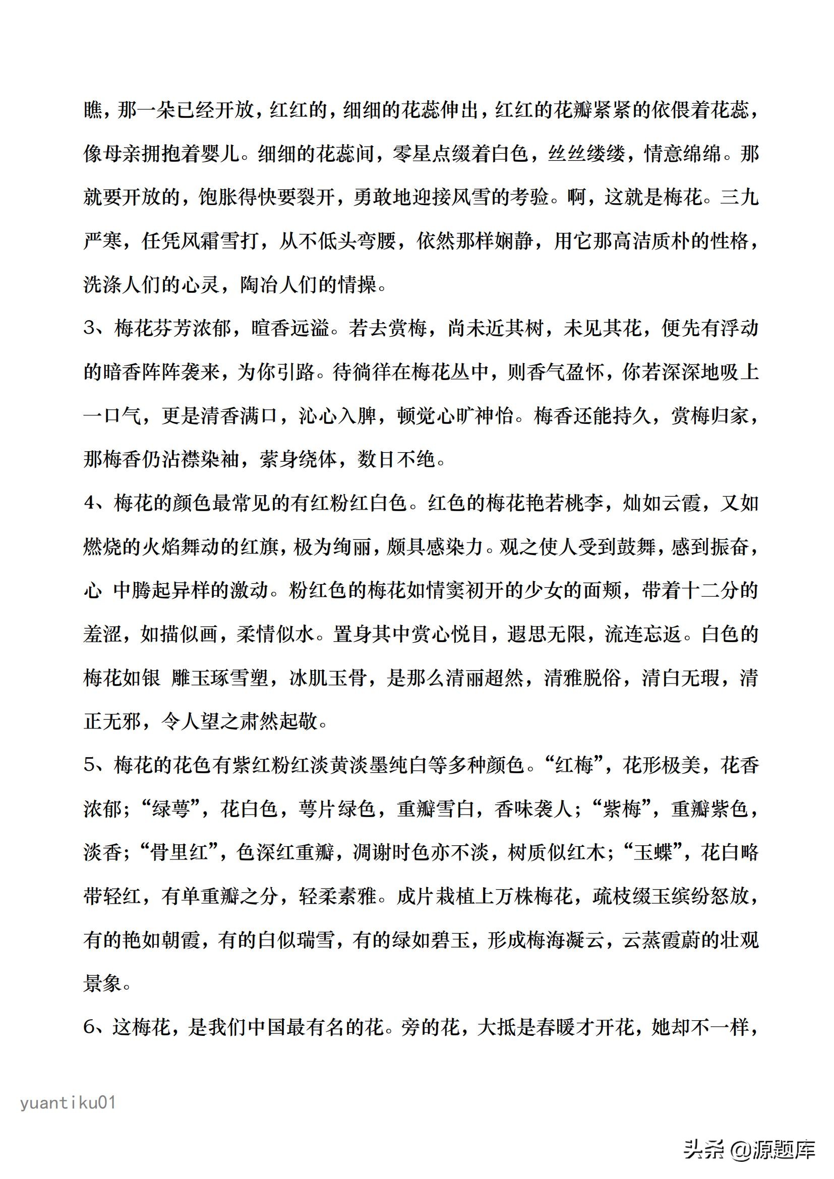 描写梅花的好词好句好段，孩子可以摘抄下来