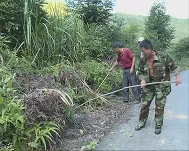 7月15鬼节出生的男孩运势如何(程德明：有名的捕蛇人，死后留下9处蛇的咬痕，他对蛇做了什么)