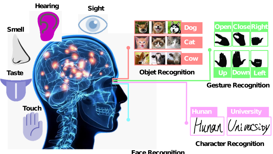 光学神经网络发展迎新节点，创建可见光下的片上多任务处理架构