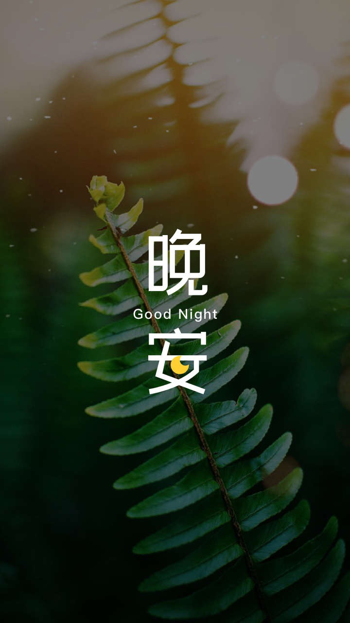 晚安问候语 觉得有点累的时候,只要专注自己的生活就会迎刃而解