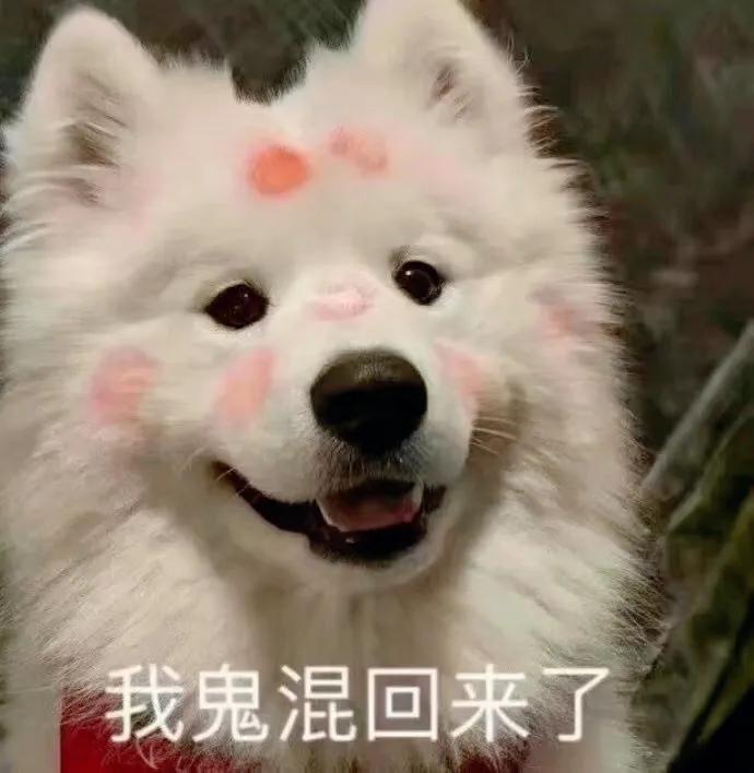 自动回复大全(qq离线自动回复有趣)