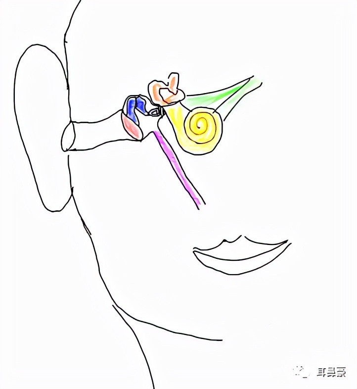 【爱耳日系列科普之中耳炎】中耳炎手术