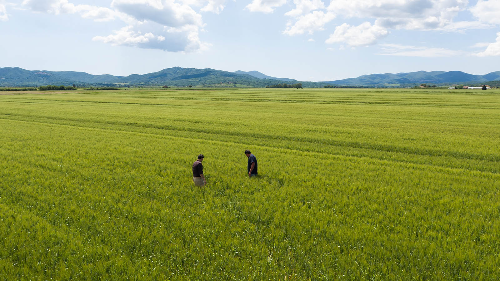 植物生产类专业：最主要的农学专业类，各专业有联系但差异更明显