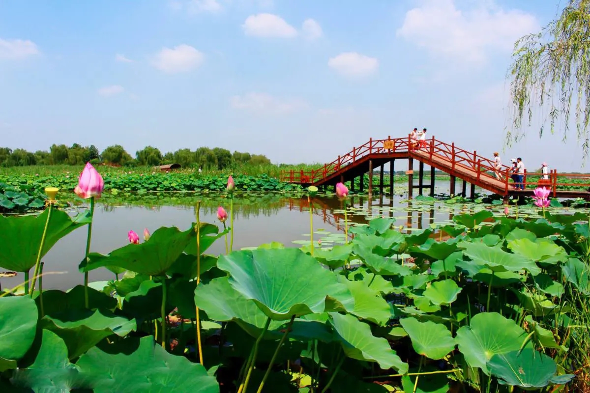 藏在河北的宝藏景点，我不允许还有人不知道