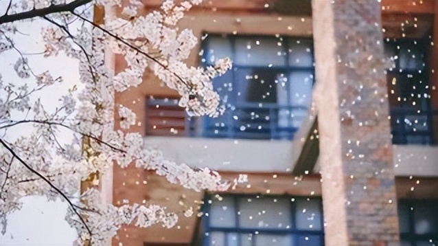 这些“黑马”高校的美术类专业，成为中等生逆袭的热门目标