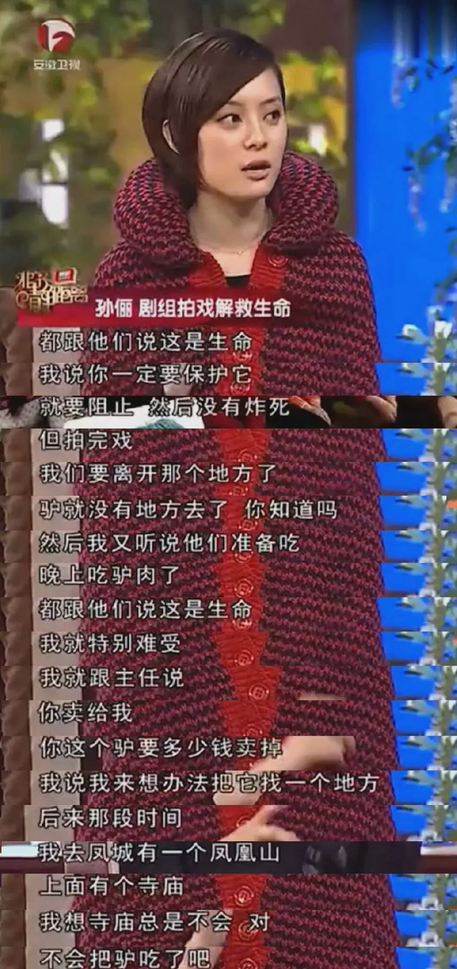 《当家主母》猫事件还未平息,网友又曝光5个剧组曾虐待动物