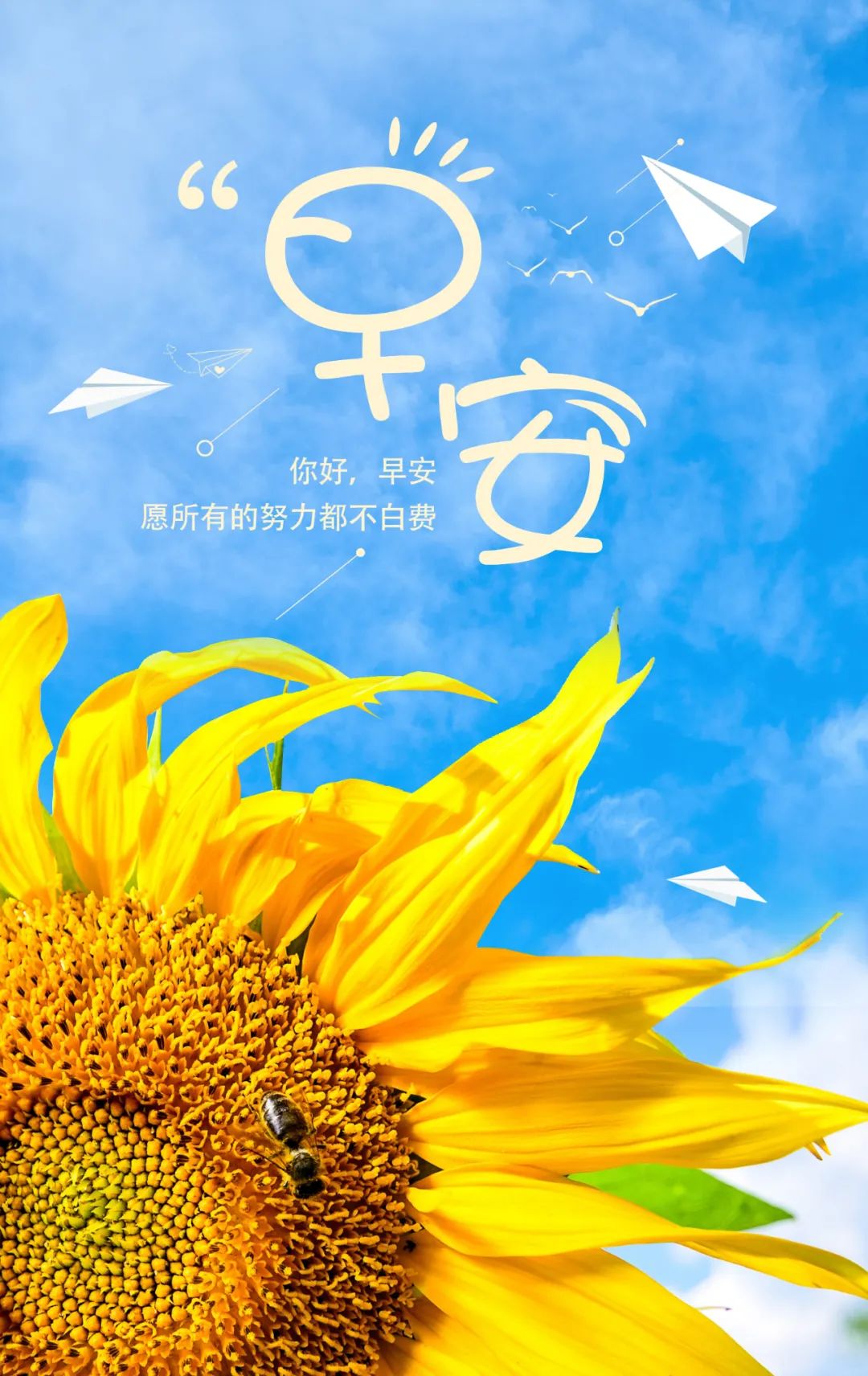 06.08」早安心语,高考日正能量励志名言语录 未来可期加油