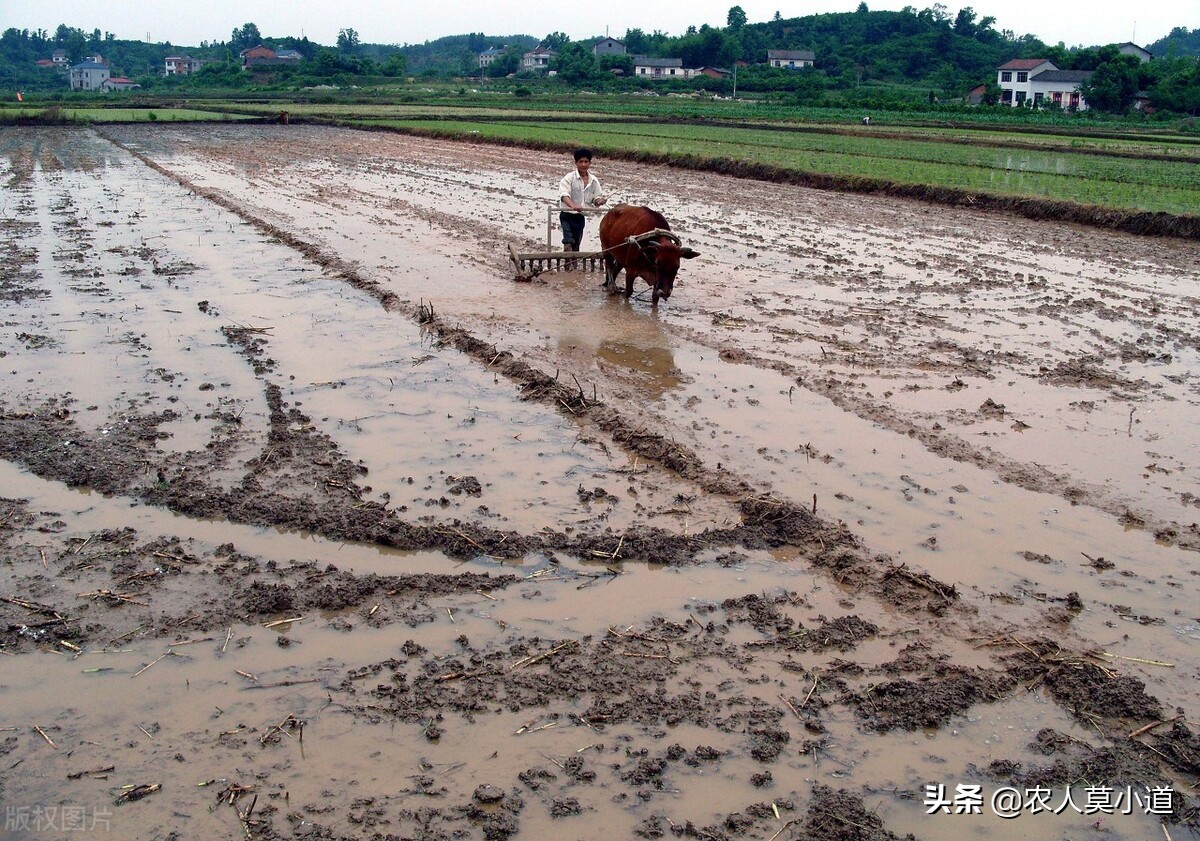 土地买卖,土地买卖合同协议书