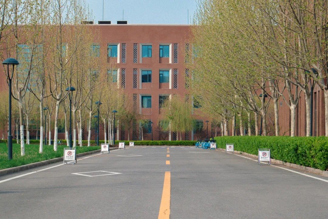 超强！最近，南开硕士拿下“精算数学”全球第一名！