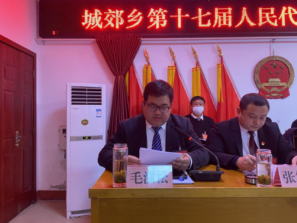 东风浩荡满目春 只争朝夕启新程 ——桐柏县城郊乡：第十七届人民代表大会第一次会议胜利召开