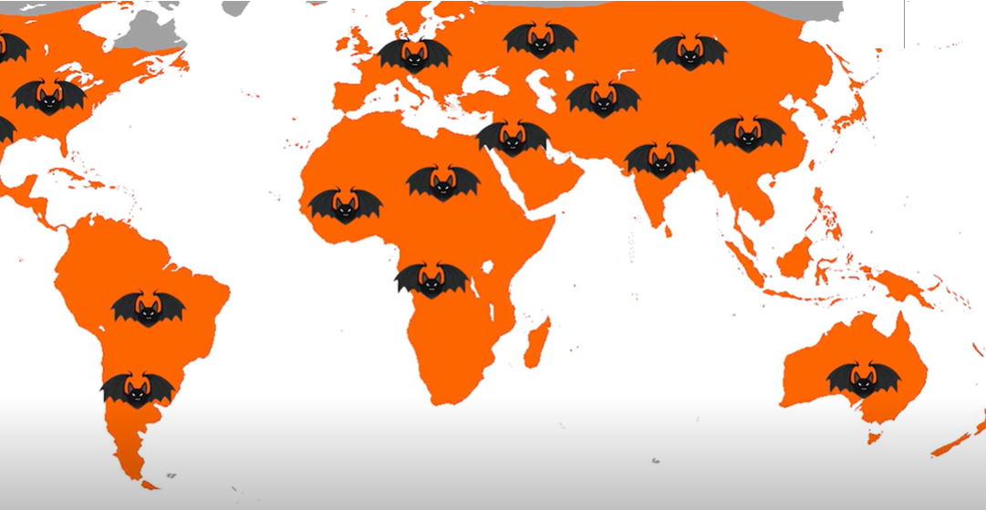 蝙蝠携带病毒上千种，包括冠状病毒，人类为何不消灭蝙蝠？