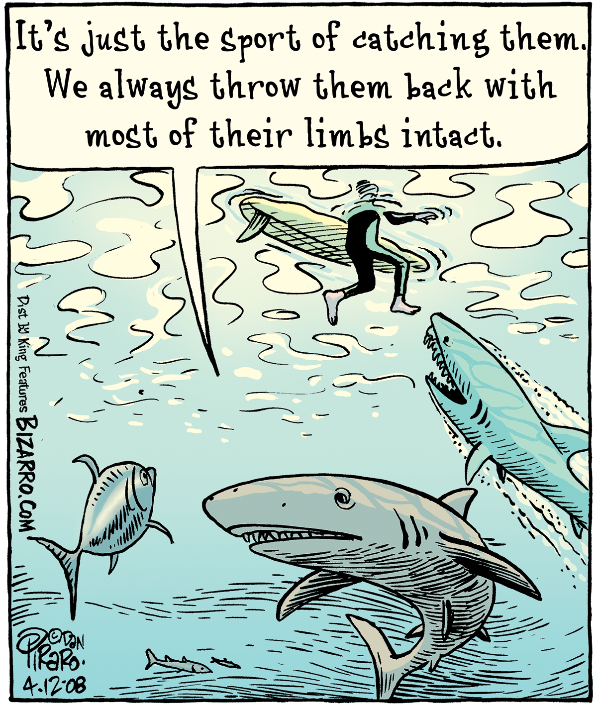 鲨鱼明明不吃人,为何袭击人类?